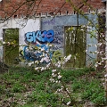 2010-03-conflans-OK (15)